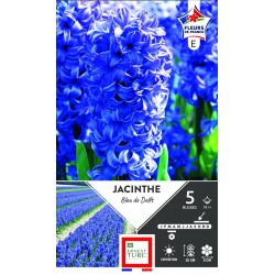 ERNEST TURC JACINTHE de...