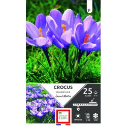 ERNEST TURC CROCUS grande...