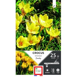 ERNEST TURC CROCUS...