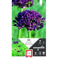 ERNEST TURC AIL d'ornement...