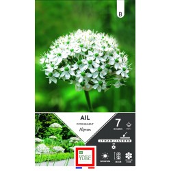 ERNEST TURC AIL d'ornement...