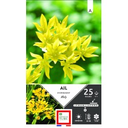 ERNEST TURC AIL d'ornement...