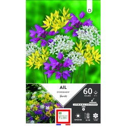 ERNEST TURC AIL D'ornement...