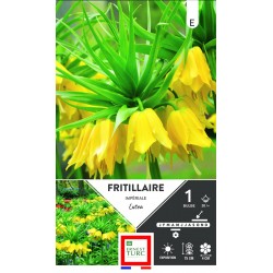 ERNEST TURC FRITILLAIRE...