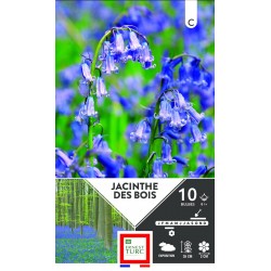 ERNEST TURC JACINTHE Des...