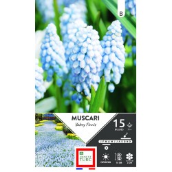 ERNEST TURC MUSCARI Valery...
