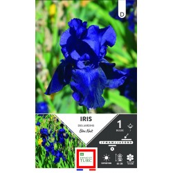 ERNEST TURC IRIS des...