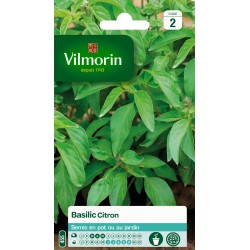 VILMORIN BASILIC Citron...