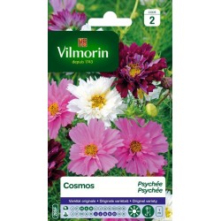 COSMOS Psychée SACHET...