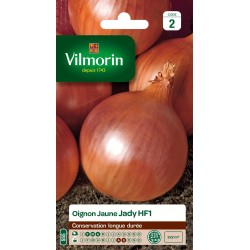 OIGNON jaune Jady hf1...