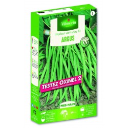 HARICOT vert sans fil...