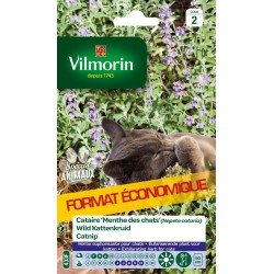 CATAIRE Menthe des chats...