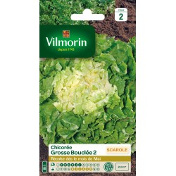 VILMORIN CHICORÉE SCAROLE...