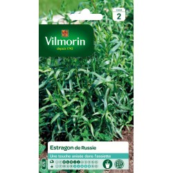 ESTRAGON De russie SACHET...