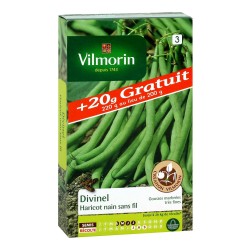 VILMORIN +20G...
