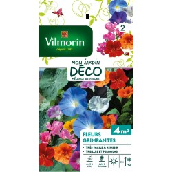 MÉLANGE DE FLEURS mon...