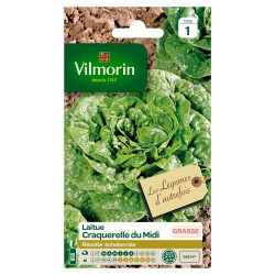 LAITUE grasse Craquerelle...