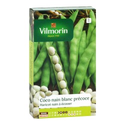 COCO NAIN haricot nain à...