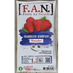 FRAMBOISIER Marastar® FF C1.6L