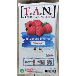 FRAMBOISIER 'Tulameen' FF...