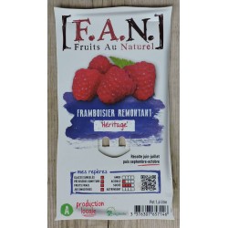 FRAMBOISIER 'Heritage' FF...