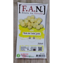 VIGNE 'Perle de Csaba' FF...