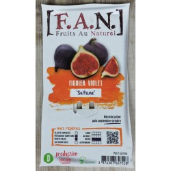 FIGUIER 'Sultane' FF C1.6L