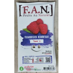 FRAMBOISIER 'Sumo' FF C1.6L