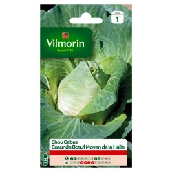 CHOU CABUS Coeur de boeuf...