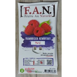 FRAMBOISIER 'Paris' FF C1.6L