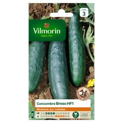 VILMORIN CONCOMBRE Breso...