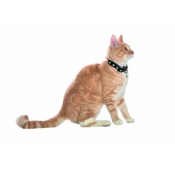 Collier chat midnight tu noir