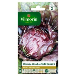 VILMORIN CHICORÉE À...