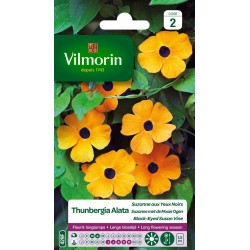 VILMORIN THUNBERGIA ALATA...