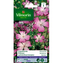 VILMORIN COQUELOURDE Rose...