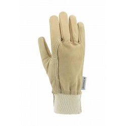 Gant ERABLE T9 Beige-BLACKFOX