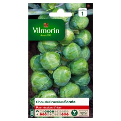 VILMORIN CHOU DE BRUXELLES...