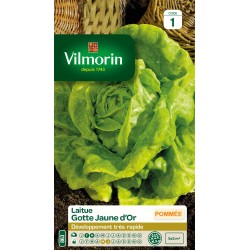 VILMORIN LAITUE POMMÉE...