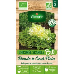 VILMORIN CHICORÉE BIO...