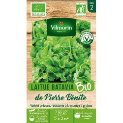 VILMORIN LAITUE BIO BATAVIA...