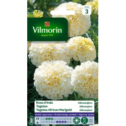 VILMORIN ROSE D'INDE...