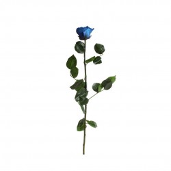 COFFRET STABILISE bleu...