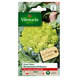 CHOU-FLEUR Romanesco...