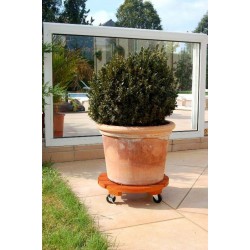 Roulbac original Ø40 Bois...