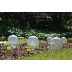 Cloches à salade x3 Ø25-H19