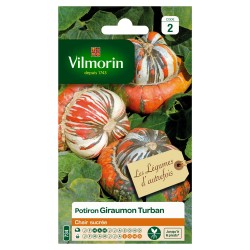 POTIRON Giraumon turban...