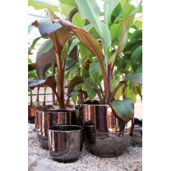 Pot droit REBORD Ø35 METAL...