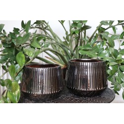 Pot CARACTERE Ø21 METAL...