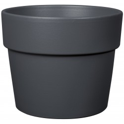 Vase bigband deroma...