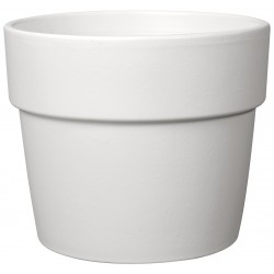 Vase bigband deroma...